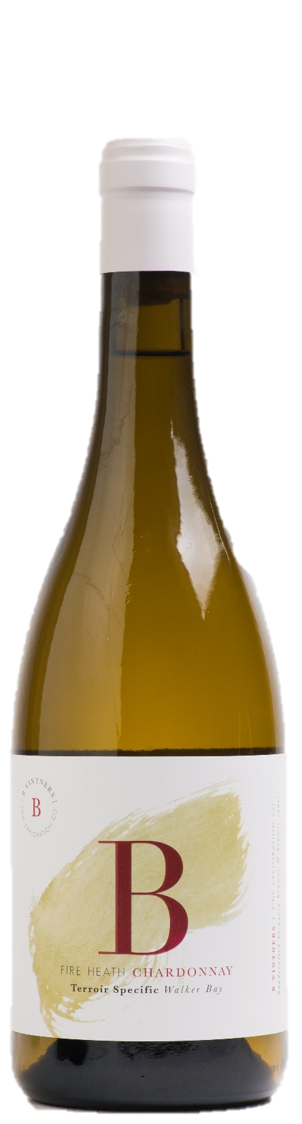 SA B Vintners Chardonnay Test